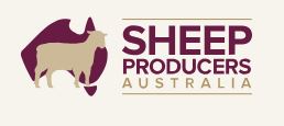 SHEEP_PRODUCERS_AUSTRALIA.JPG